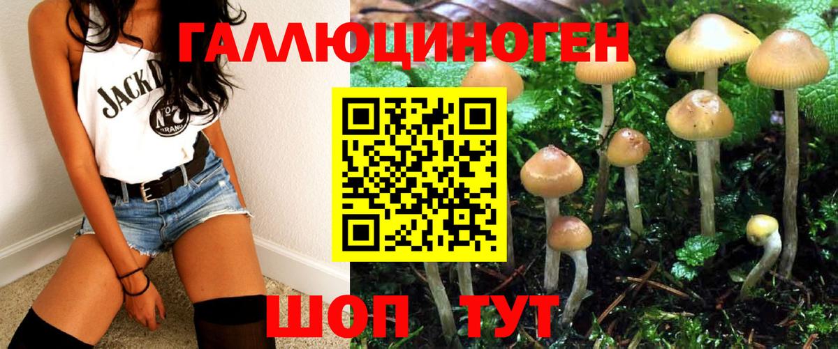 Псилоцибиновые грибы Psilocybine cubensis Урай
